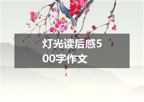 灯光读后感500字作文