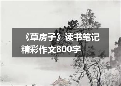 《草房子》读书笔记精彩作文800字