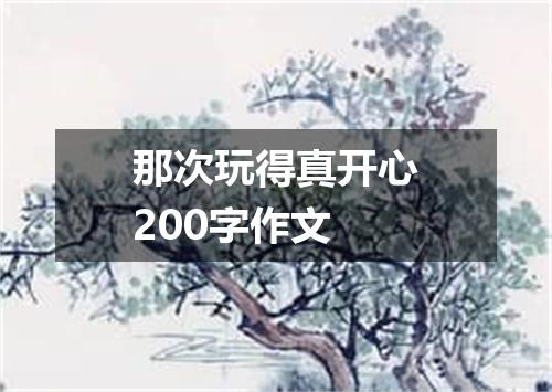 那次玩得真开心200字作文