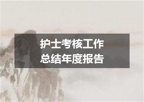 护士考核工作总结年度报告