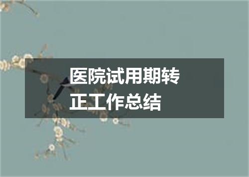 医院试用期转正工作总结