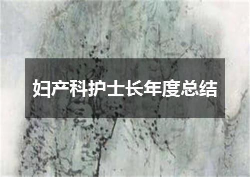 妇产科护士长年度总结