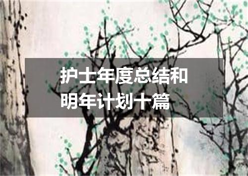 护士年度总结和明年计划十篇