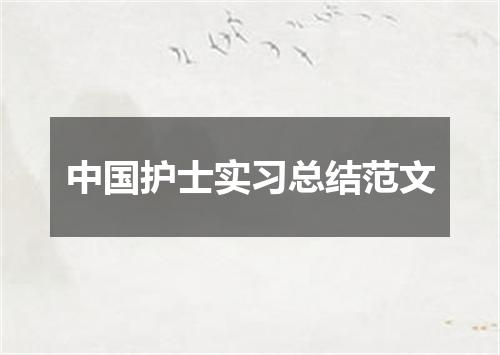 中国护士实习总结范文