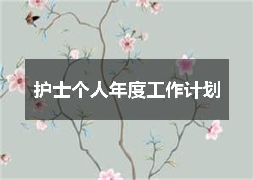 护士个人年度工作计划