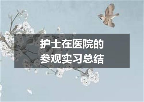 护士在医院的参观实习总结