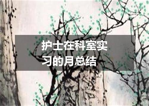 护士在科室实习的月总结