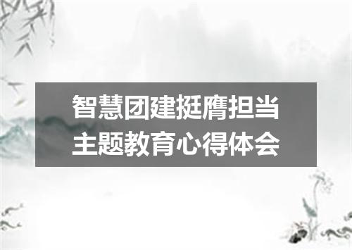 智慧团建挺膺担当主题教育心得体会