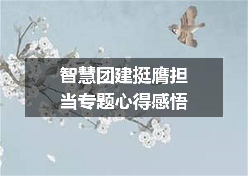 智慧团建挺膺担当专题心得感悟