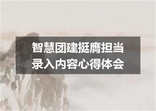 智慧团建挺膺担当录入内容心得体会