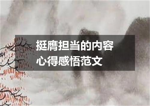 挺膺担当的内容心得感悟范文