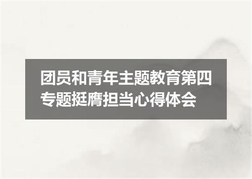 团员和青年主题教育第四专题挺膺担当心得体会