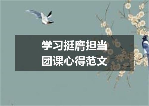 学习挺膺担当团课心得范文