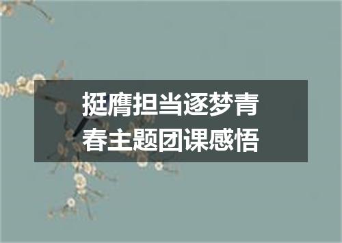 挺膺担当逐梦青春主题团课感悟