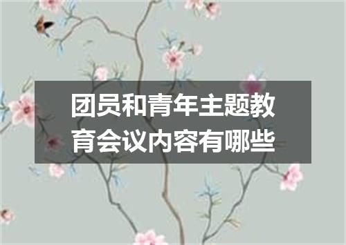 团员和青年主题教育会议内容有哪些