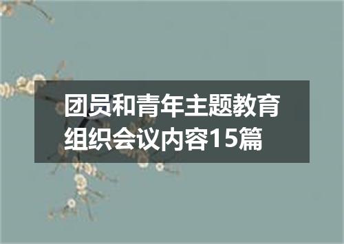 团员和青年主题教育组织会议内容15篇