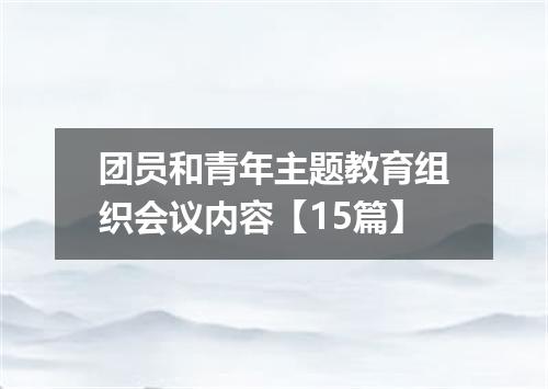 团员和青年主题教育组织会议内容【15篇】