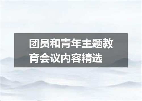 团员和青年主题教育会议内容精选