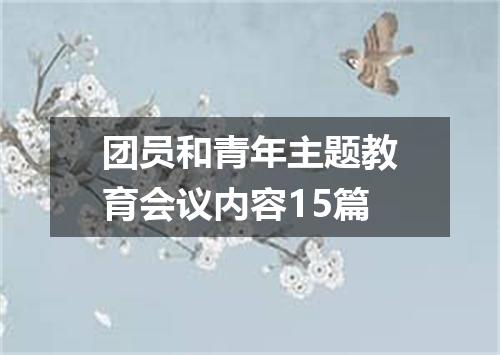 团员和青年主题教育会议内容15篇
