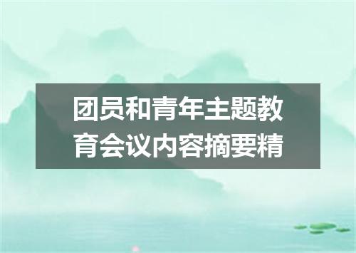 团员和青年主题教育会议内容摘要精