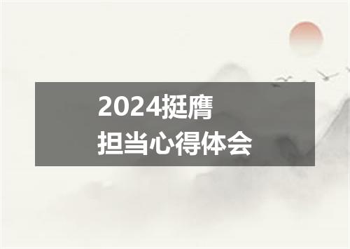 2024挺膺担当心得体会