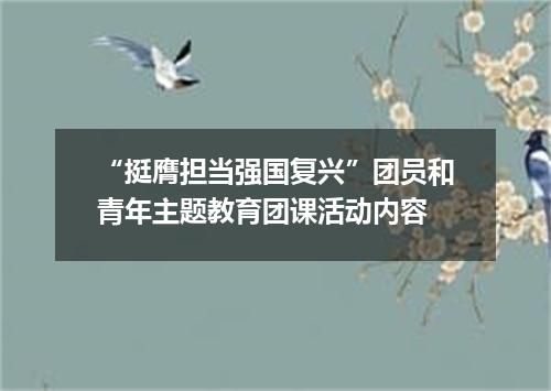 “挺膺担当强国复兴”团员和青年主题教育团课活动内容