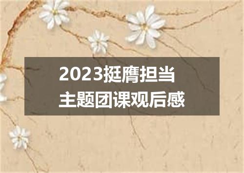 2023挺膺担当主题团课观后感