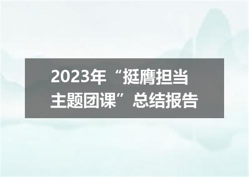 2023年“挺膺担当主题团课”总结报告