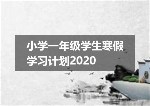 小学一年级学生寒假学习计划2020