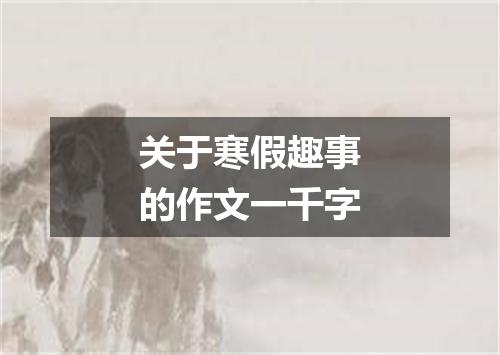 关于寒假趣事的作文一千字