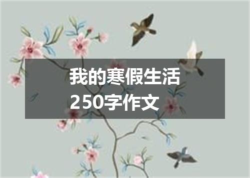 我的寒假生活250字作文