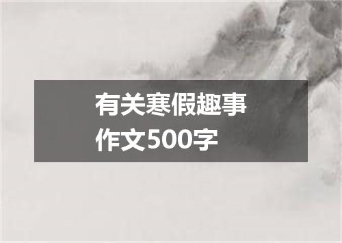 有关寒假趣事作文500字