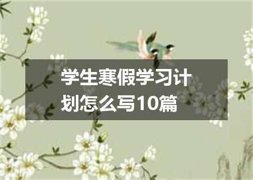 学生寒假学习计划怎么写10篇