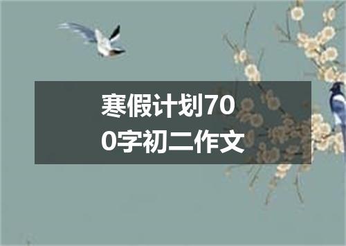寒假计划700字初二作文