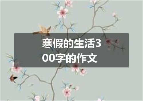 寒假的生活300字的作文