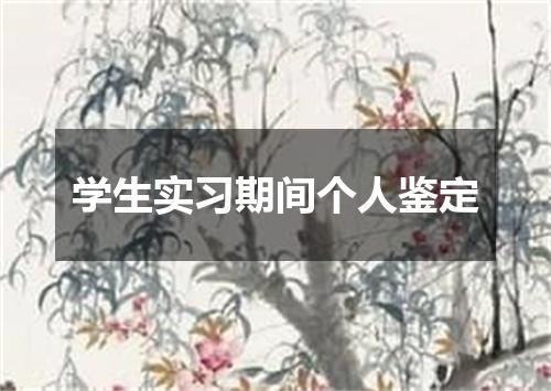 学生实习期间个人鉴定