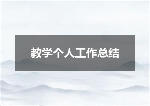 教学个人工作总结