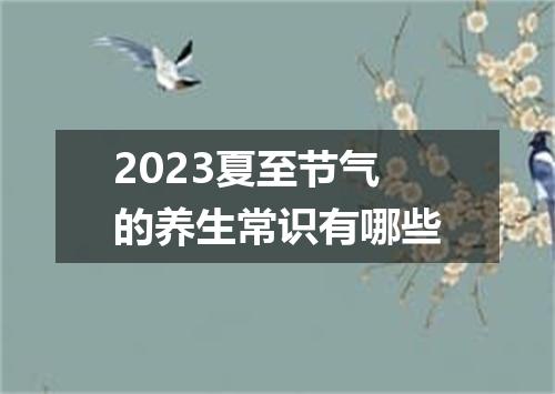 2023夏至节气的养生常识有哪些