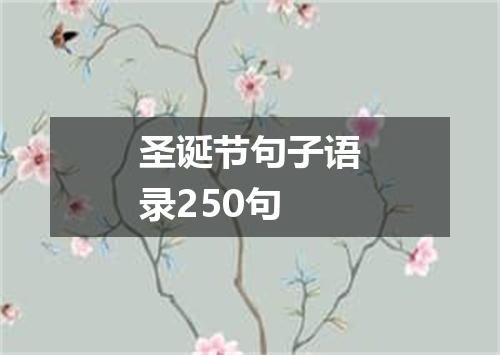圣诞节句子语录250句