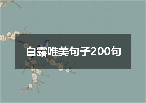 白露唯美句子200句