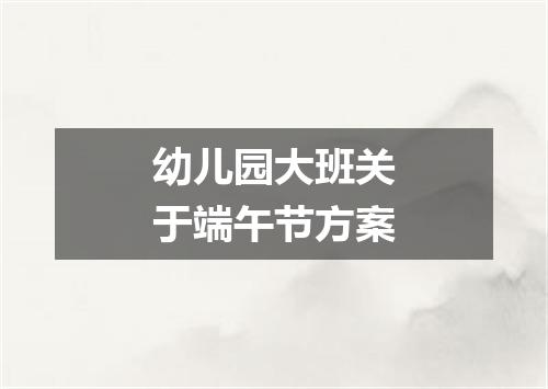 幼儿园大班关于端午节方案