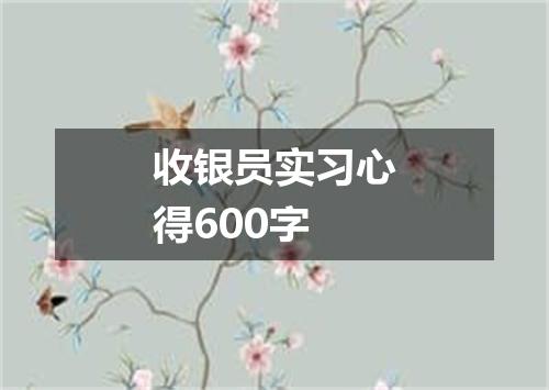 收银员实习心得600字