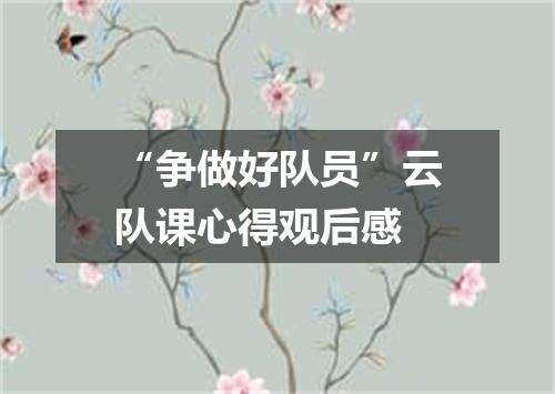 “争做好队员”云队课心得观后感