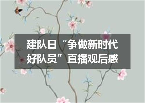 建队日“争做新时代好队员”直播观后感