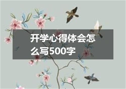 开学心得体会怎么写500字