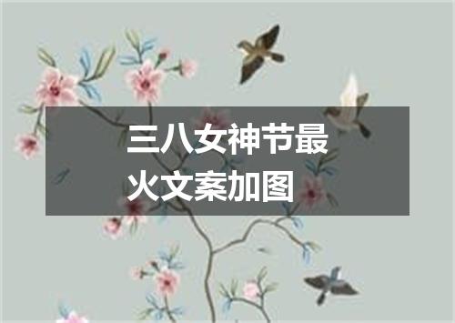 三八女神节最火文案加图