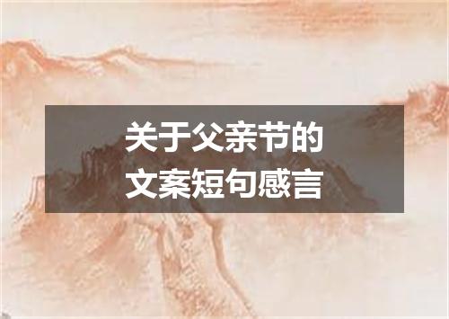 关于父亲节的文案短句感言