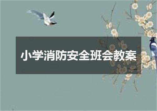 小学消防安全班会教案