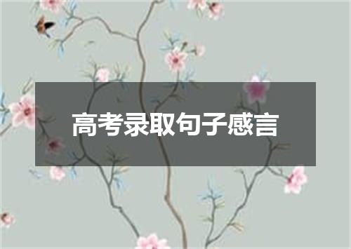 高考录取句子感言