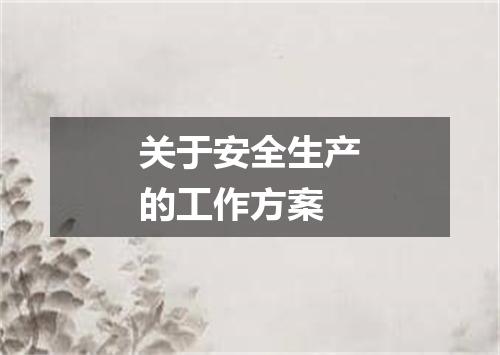 关于安全生产的工作方案